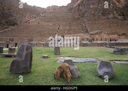 Les ruines Inca de Ollantaytambo, complexe Banque D'Images