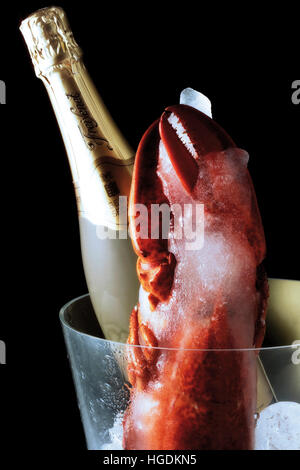 Bouteille de champagne avec le homard congelé dans un refroidisseur à champagne Banque D'Images