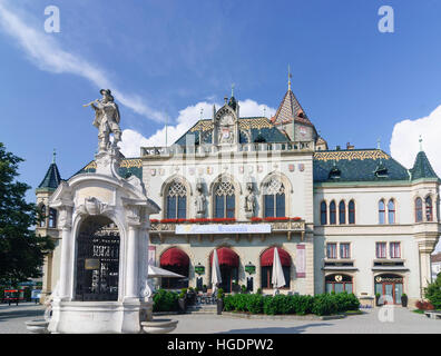 Hôtel de Ville : Korneuburg avec rat-catcher bien, Donau, Niederösterreich, Autriche, Basse Autriche Banque D'Images
