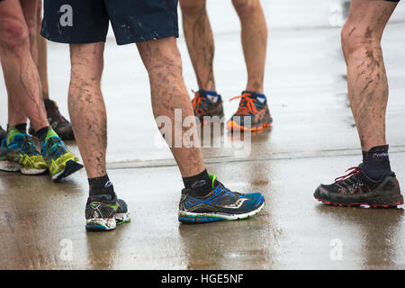 Studland, Dorset, UK. 8 janvier 2017. Porteur arrêté après une bonne course dans des conditions humides sous un ciel couvert jour brumeux à Studland beach Crédit : Carolyn Jenkins/Alamy Live News Banque D'Images