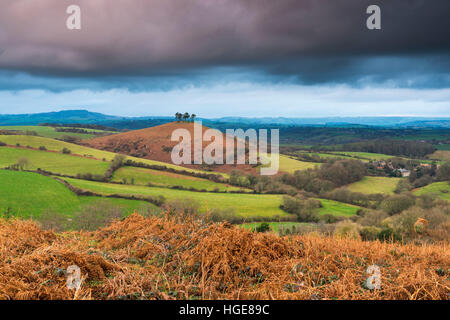 Colmers Hill, Bridport, Dorset, UK. 8 janvier 2017. Météo britannique. Une vue de Colmers Hill, près de Bridport Dorset, en vue de l'Eype vers le bas, avec des nuages sombres au-dessus d'elle en fin d'après-midi. Photo : Graham Hunt/Alamy Live News. Banque D'Images