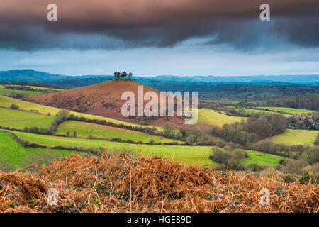 Colmers Hill, Bridport, Dorset, UK. 8 janvier 2017. Météo britannique. Une vue de Colmers Hill, près de Bridport Dorset, en vue de l'Eype vers le bas, avec des nuages sombres au-dessus d'elle en fin d'après-midi. Photo : Graham Hunt/Alamy Live News. Banque D'Images