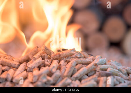 Granulés de bois de chêne, la biomasse- flammes close up Banque D'Images