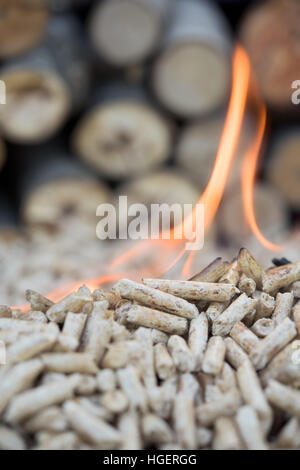 Granulés de bois de sapin en flammes devant tas de bois Banque D'Images