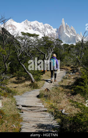 Randonneur sur sentier jusqu'à la Laguna Torre avec vue sur le Cerro Torre, El Chalten, Patagonie, Argentine, Amérique du Sud Banque D'Images