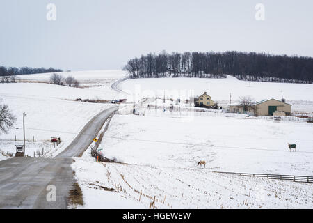 Vue de la route et la neige a couvert de fermes et de collines, près de Jefferson, Texas. Banque D'Images