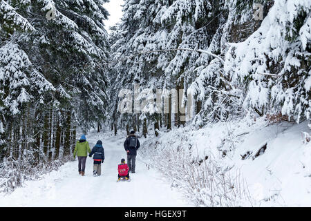 Autour de la famille Neuenkleusheim, Sauerland, Rhénanie du Nord-Westphalie, Allemagne Banque D'Images