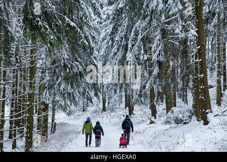 Autour de la famille Neuenkleusheim, Sauerland, Rhénanie du Nord-Westphalie, Allemagne Banque D'Images