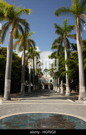 Le centre de la ville avec des rues bordées de palmiers et la Cour chambre à l'extrémité, Philipsburg, St Maarten, Antilles. Banque D'Images