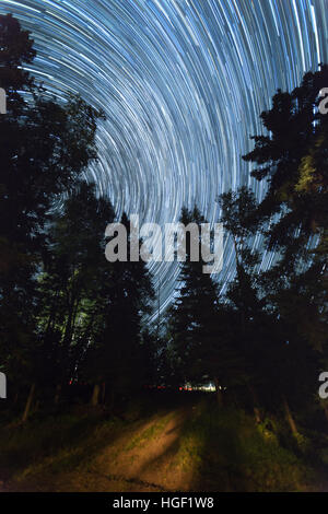 Star Trails dans le bois du nord du Minnesota Banque D'Images