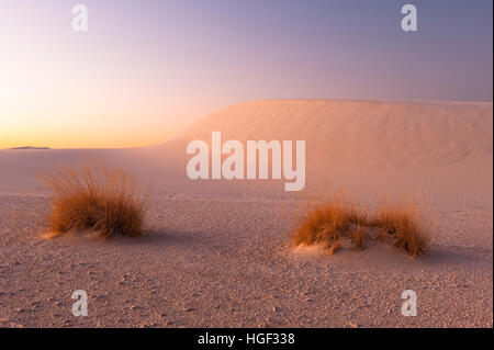 Nature, parcs nationaux des États-Unis, formations dunaires typiques au monument national de White Sands, parc national de White Sands, Nouveau-Mexique, Nouveau-Mexique, Nouveau-Mexique, États-Unis. Banque D'Images