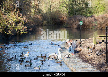 Le père et le jeune fils nourrissent les canards dans la rivière Dans le village de Burford, les Cotswolds, Angleterre, Royaume-Uni Banque D'Images