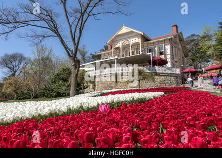 L'Emirgan Park est un parc urbain situé au quartier Emirgan Sariyer dans le district d'Istanbul, Turquie, sur la côte européenne du Bosphore. Il est l'un des plus grands parcs publics à Istanbul.Le parc Emirgan est étroitement associée à la tulipe, la fleur traditionnelle, qui a donné son nom à une époque (1718-1730) de l'Empire Ottoman. Banque D'Images