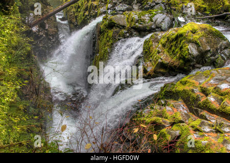 Sol Duc falls, Olympic National Park, WA Banque D'Images