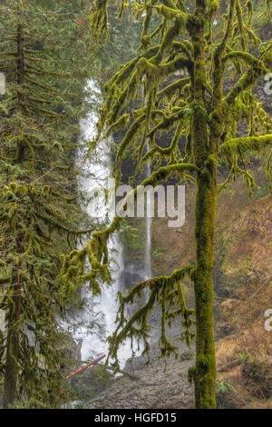 Silver Falls State Park, New York Banque D'Images