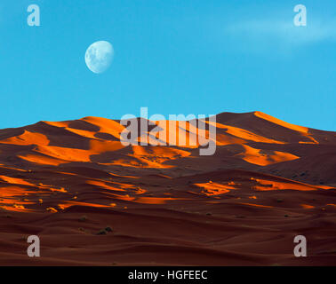 Tôt le matin sur l'Erg Chebbi Dunes Sahara Maroc Afrique du Nord Mars Banque D'Images