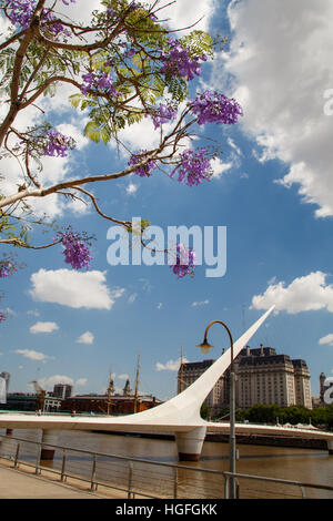 Buenos Aires, Puerto Madero district women's bridge Banque D'Images