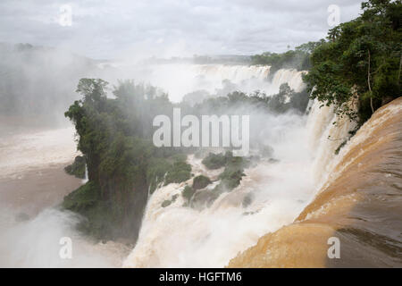 D'Iguazu, Iguazu National Park, province de Misiones, au nord-est, l'Argentine, l'Amérique du Sud Banque D'Images