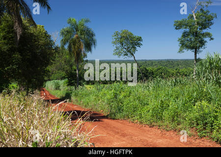 Route de terre qui traverse la forêt sub-tropicale, Andresito, Parc National de l'Iguazu, province de Misiones, au nord-est, de l'Argentine Banque D'Images