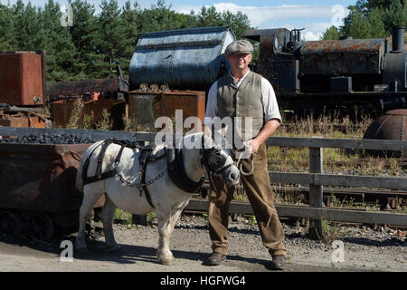 L'exploitation minière Shetland pony Beamish museum England UK UK Banque D'Images