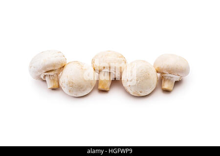 Nettoyer cinq champignons champignon isolé sur blanc Banque D'Images