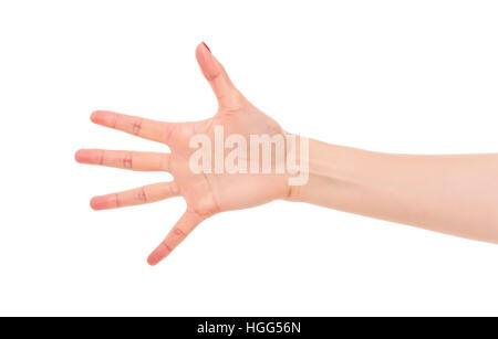 Compter femme mains cinq. Banque D'Images