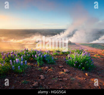 Éruption du Grand Geyser se trouve dans la vallée de Haukadalur sur les pentes du Laugarfjall hill. Matin d'été Foggu en Islande Banque D'Images