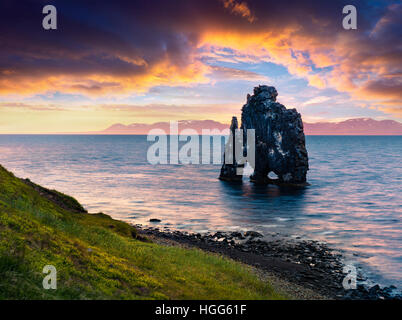 Basalte Hvitserkur énorme pile sur la rive orientale de la péninsule de Vatnsnes. Lever du soleil d'été coloré dans le nord-ouest de l'Islande Banque D'Images