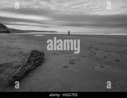 La magnifique ville historique de Whitby, North Yorkshire, avec ses nombreuses rues pavées, l'abbaye de Whitby et étonnante de l'histoire et l'architecture Banque D'Images