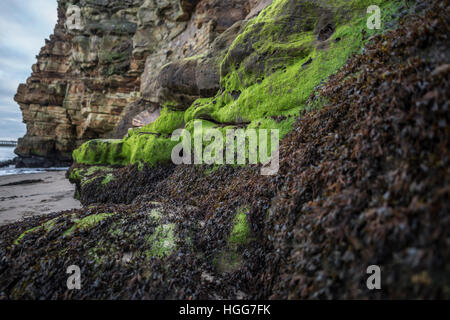 La magnifique ville historique de Whitby, North Yorkshire, avec ses nombreuses rues pavées, l'abbaye de Whitby et étonnante de l'histoire et l'architecture Banque D'Images