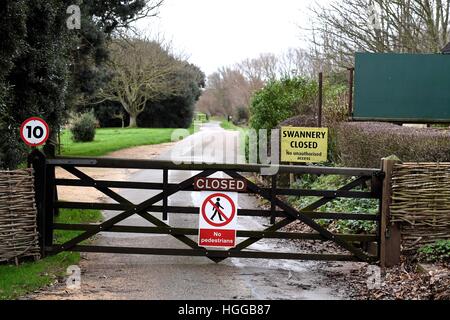 Grippe aviaire provoque un certain nombre de décès à swan 'Abbotsbury Swannery' dans le Dorset, UK Banque D'Images