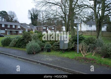 Ascot, Berkshire, Royaume-Uni. 9 janvier, 2017. Les arbres de Noël en attente de collecte pour recyclage par Windsor Conseil. © Andrew Spiers/Alamy Live News Banque D'Images