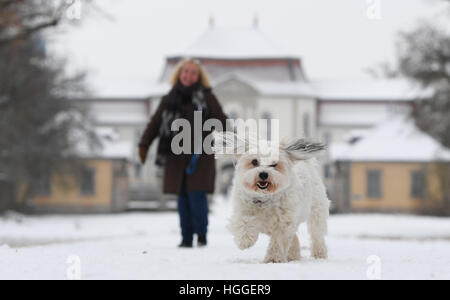 Montagny-lès-Beaune, France. Jan 9, 2017. Heike Brehl et son chien 'Holly' à pied sur le terrain de château Fasanerie Eichenzell, en Allemagne, le 9 janvier 2017. L'ancienne résidence d'été des évêques de Fulda est connue comme la plus belle de Hesse château baroque et aujourd'hui appartient à la landgraves et princes de Hesse. Photo : Arne Dedert/dpa/Alamy Live News Banque D'Images