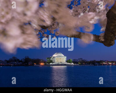 Le Thomas Jefferson Memorial est encadrée par les fleurs de cerisier au coucher du soleil. Banque D'Images