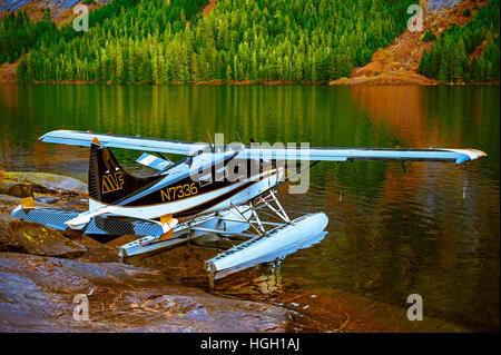 De Havilland Beaver Lake Manzoni, échoué sur la forêt nationale Tongass, Alaska, USA. Banque D'Images