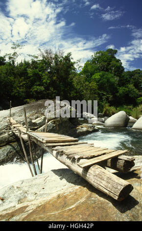 Un pont dans le parc national Chirripó proche de San Gerardo de Ricas, Costa Rica, Amérique Centrale Banque D'Images