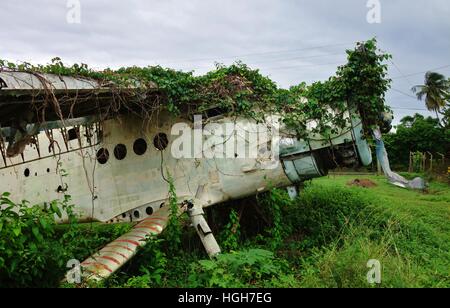 Les perles à Grenville, l'aéroport de Grenade, est maintenant abandonné avec des pâturages et des épaves de l'avion soviétique cubain Banque D'Images