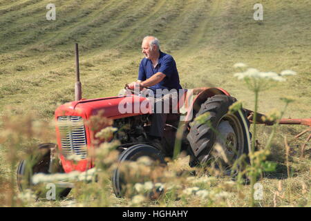 Fermier dans un champ sur une vintage tracteur Massey Ferguson le tournant de l'herbe pour faire du foin dans la campagne anglaise sur une chaude journée d'été Banque D'Images