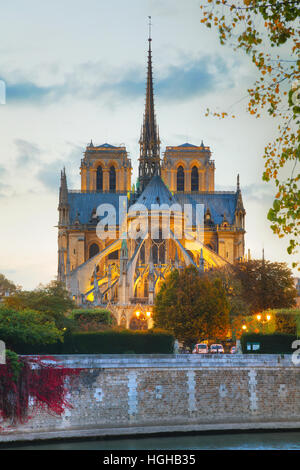 La cathédrale Notre Dame de Paris la nuit Banque D'Images