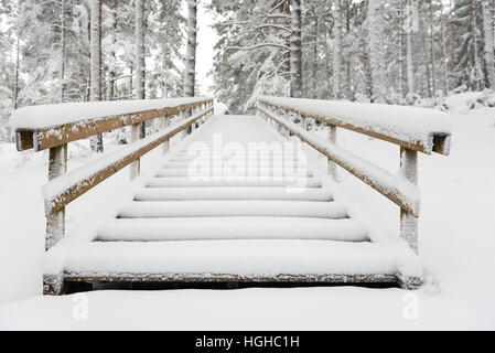 Promenade touristique avec pied pistes sur route d'hiver dans la neige profonde dans le lonely forest Banque D'Images