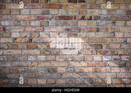 Brick wall background - mur de pierre modèle Banque D'Images