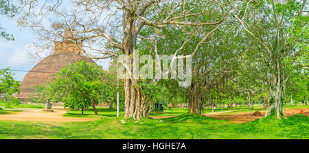 La promenade dans le jardin de Jetavana Vihara avec vue sur la brique Stupa géant derrière les arbres luxuriants, Anuradhapura, Sri Lanka. Banque D'Images