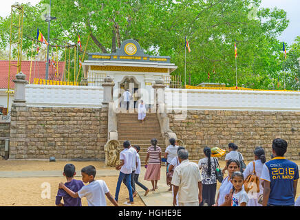 Les pèlerins visitent arbre Bodhi Temple, l'un des plus sacré reliques du bouddhisme Banque D'Images