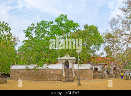 Panorama de Jaya Sri Maha Bodhi Temple avec un arbre de Bodhi sacré, s'élevant au-dessus de l'édifice, Anuradhapura, Sri Lanka. Banque D'Images