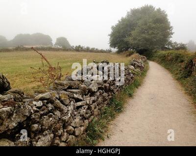 Solitude le long d'un chemin sinueux sur les Camino Frances lors d'une matinée d'été brumeuse dans le nord de l'Espagne sur le chemin de Santiago. Banque D'Images