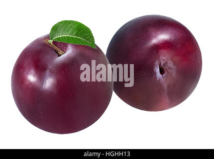 Prune sur fond blanc Banque D'Images
