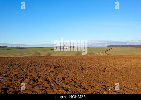 Un paysage avec un champ labouré colline et vue panoramique dans le Yorkshire Wolds sous un ciel bleu en hiver Banque D'Images