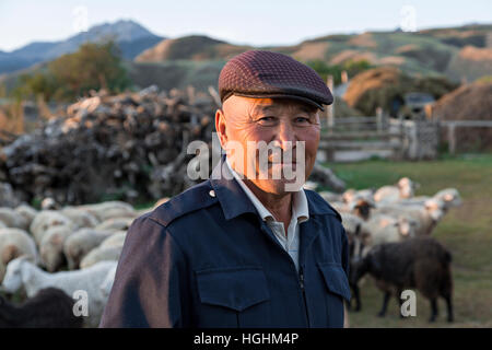 Homme Kazakh avec son troupeau de moutons en retournerais sans hésiter, village du Kazakhstan. Banque D'Images