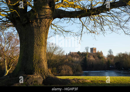 La Cathédrale historique de Saint Albans vu de Verulamium Park à St Albans, en Angleterre. Banque D'Images
