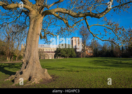 Une vue sur la magnifique cathédrale de St Albans vu de Verulamium Park dans le centre-ville historique de St Albans, en Angleterre. Banque D'Images